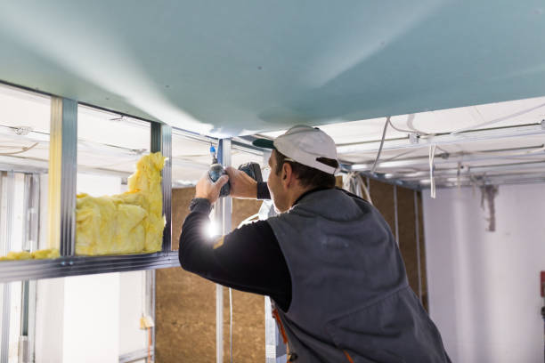 Best DIY Insulation Kits and Guidance in Bayport, NY