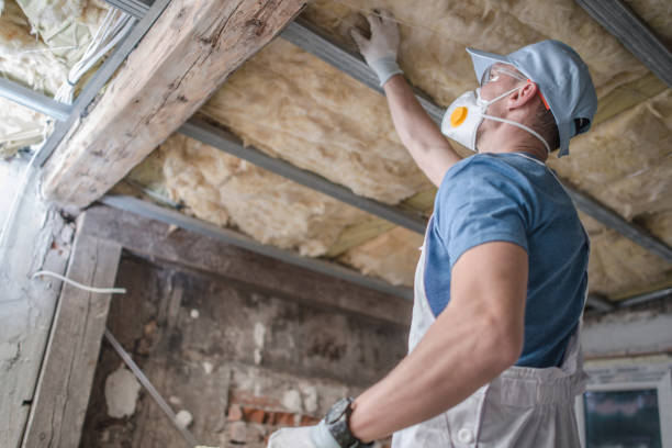 Best Geographic-Specific Insulation Services in Bayport, NY