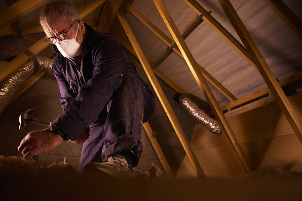 Best Insulation Maintenance and Repair in Bayport, NY